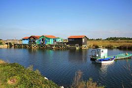 Île d'Oléron, Charente-Maritime, France