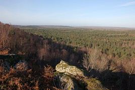 For&ecirc;t de Fontainebleau, Seine-et-Marne, France