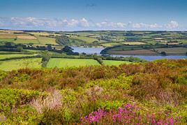 Parc national de l'Exmoor, Grande Bretagne