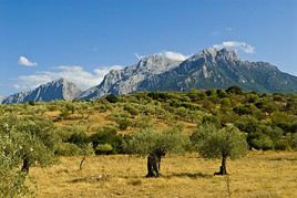 Parc national de Gennargentu, Italie