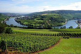 Vallée de la Moselle, Luxembourg