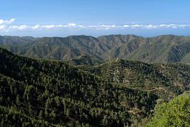 Massif du Troodos, Chypre