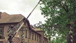 Auschwitz-Birkenau, Pologne