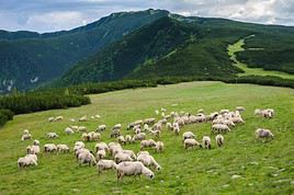 Parc national Retezat, Roumanie