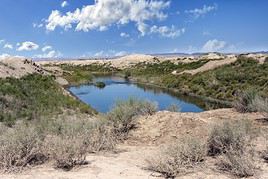 Désert du Kyzyl Kum, Ouzbékistan