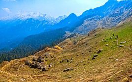 Parc national du Grand Himalaya, Inde
