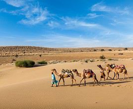 D&eacute;sert du Thar, Inde