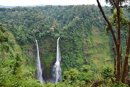 Plateau des Bolovens, Laos