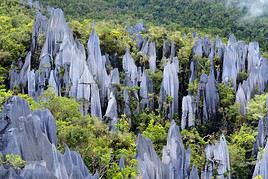 Parc national du Gunung Mulu, Malaisie