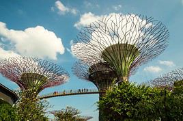 Gardens by the Bay, Singapour