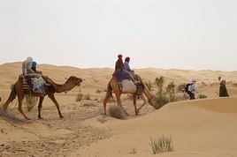 Grand erg oriental, Tunisie
