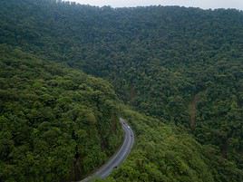 Parc national Braulio Carrillo, Costa Rica