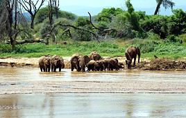 R&eacute;serve nationale de Samburu, Kenya