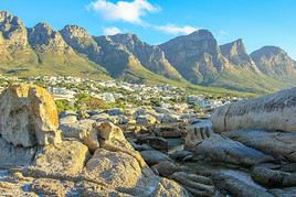 Parc national de la Montagne de la Table, Afrique du Sud