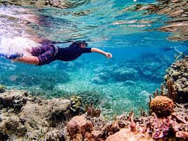 Barri&egrave;re de Corail, Belize