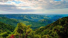Parc national de Mago, Ethiopie