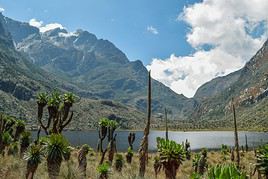 Monts Rwenzori, Ouganda