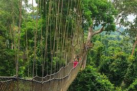 Parc national de Kakum, Ghana