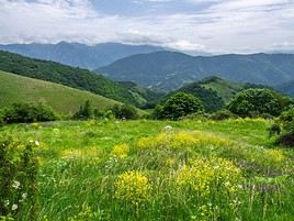 Parc national de Dilijan, Arménie