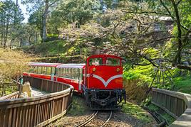Alishan, Ta&iuml;wan