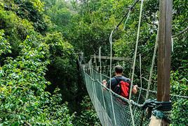 Parc national Taman Negara, Malaisie
