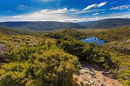 Zone de nature sauvage de Tasmanie, Tasmanie, Australie