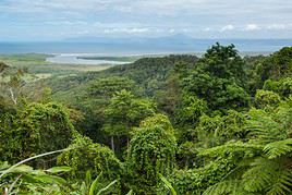 Parc national de Daintree, Queensland, Australie