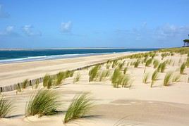 La Teste-de-Buch, Gironde, France