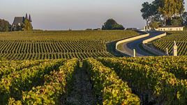 Routes des vins de Bordeaux, Gironde, France