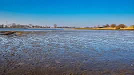 Parcs nationaux de la Mer des Wadden, Allemagne