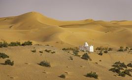 Grands Erg Occidental et Oriental, Alg&eacute;rie