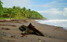 Parc national de Tortuguero, Costa Rica