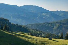 Parc national des Great Smoky Mountains, Caroline du Nord, États-Unis