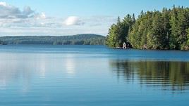 Parc provincial Algonquin, Ontario, Canada