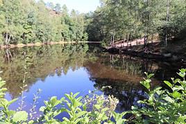 For&ecirc;t de Broc&eacute;liande, Ille-et-Vilaine, France