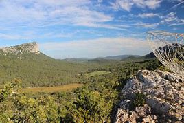 Pic Saint-Loup, H&eacute;rault, France