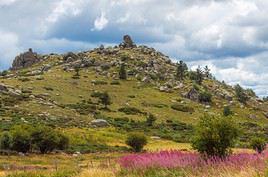 Mont Loz&egrave;re, Loz&egrave;re, France