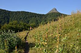 Puy Griou, Cantal, France