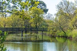 Parc ornithologique du Teich, Gironde, France