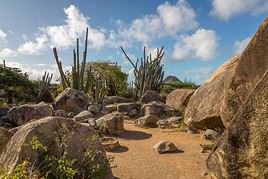 Casibari et Ayo Rock, Aruba