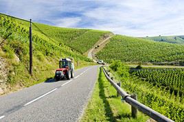 Route des Grands Crus, C&ocirc;te d'Or, France