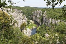 Bois de Païolive, Ardèche, France