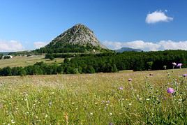 Mont Gerbier de Jonc, Ardèche, France