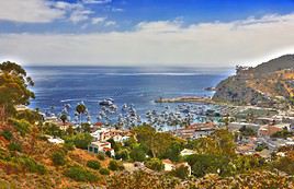 Santa Catalina, Californie, &Eacute;tats-Unis