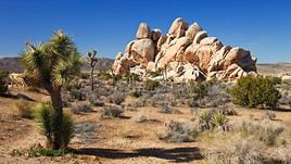 D&eacute;sert des Mojaves, Californie, &Eacute;tats-Unis