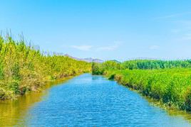 Parc naturel l'Albufera de Mallorca, Espagne