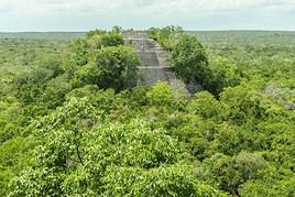R&eacute;serve de Calakmul, Mexique