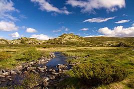 Dovrefjell, Norv&egrave;ge