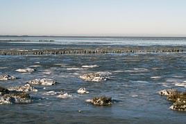 Parc National de la Mer des Wadden, Danemark