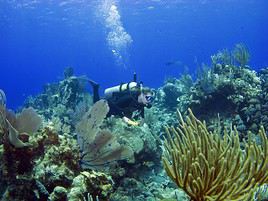 Cayman Brac, Ca&iuml;mans